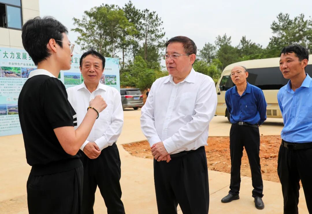 省人大來銅調(diào)研鄉(xiāng)村振興和精品示范村建設(shè)工作    張韻聲率隊(duì)   張夢生等參加活動(dòng)