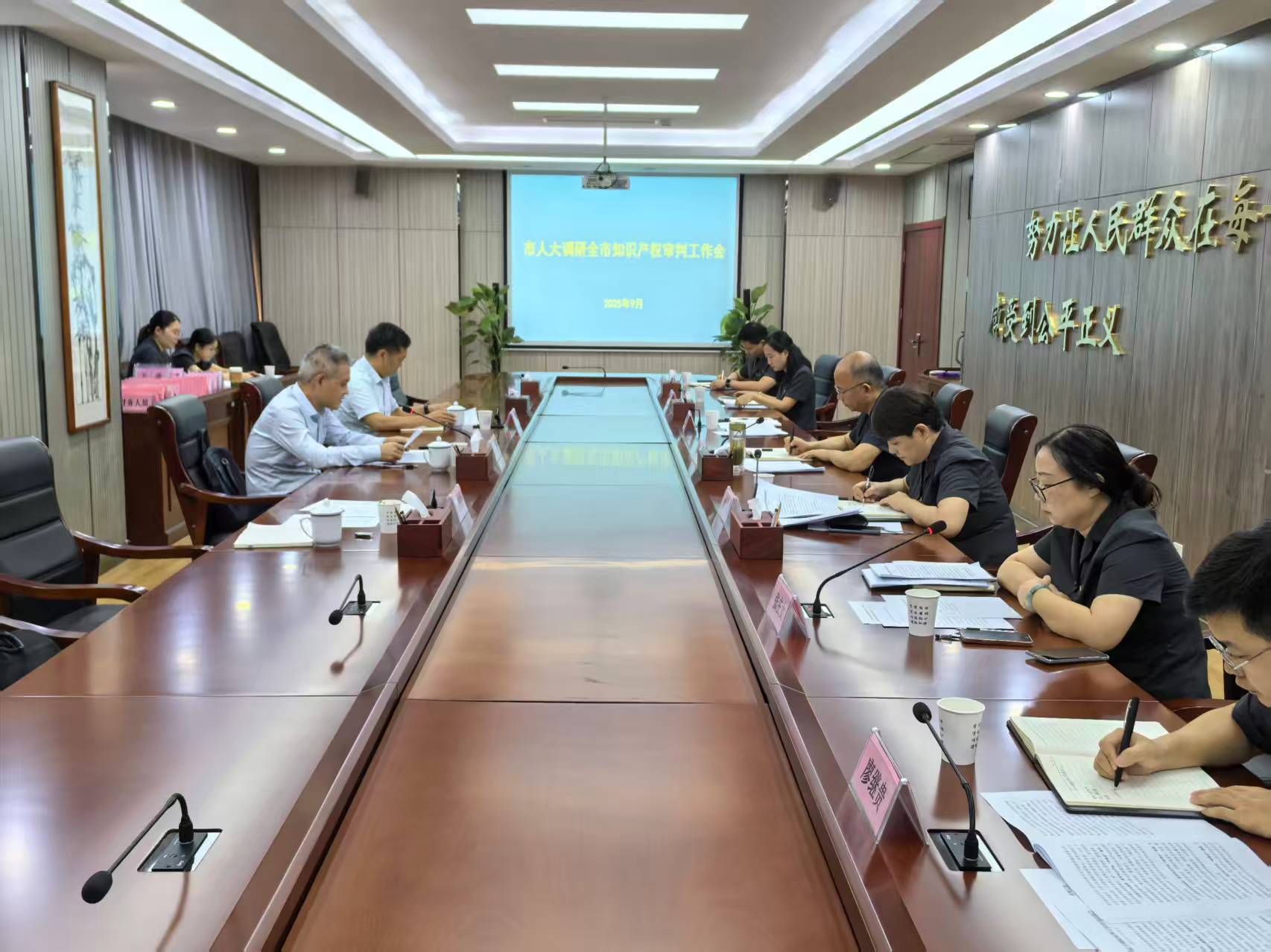 陳昌生調(diào)研全市知識產(chǎn)權(quán)審判工作情況